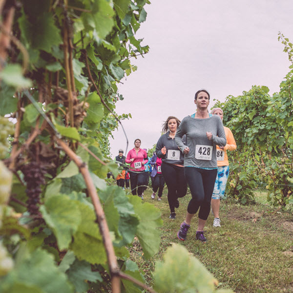 Wine Festival Fun Run – Fenn Valley Vineyards