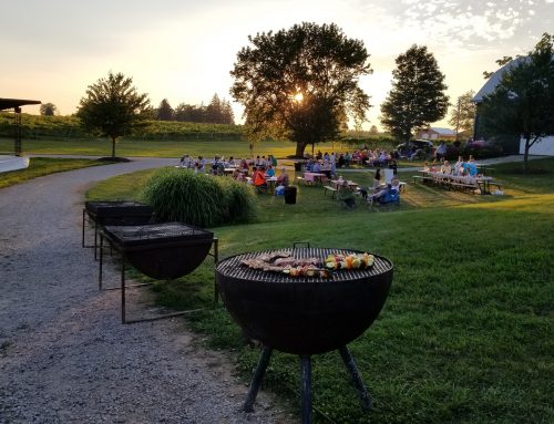 Summer Evening Cook-Outs