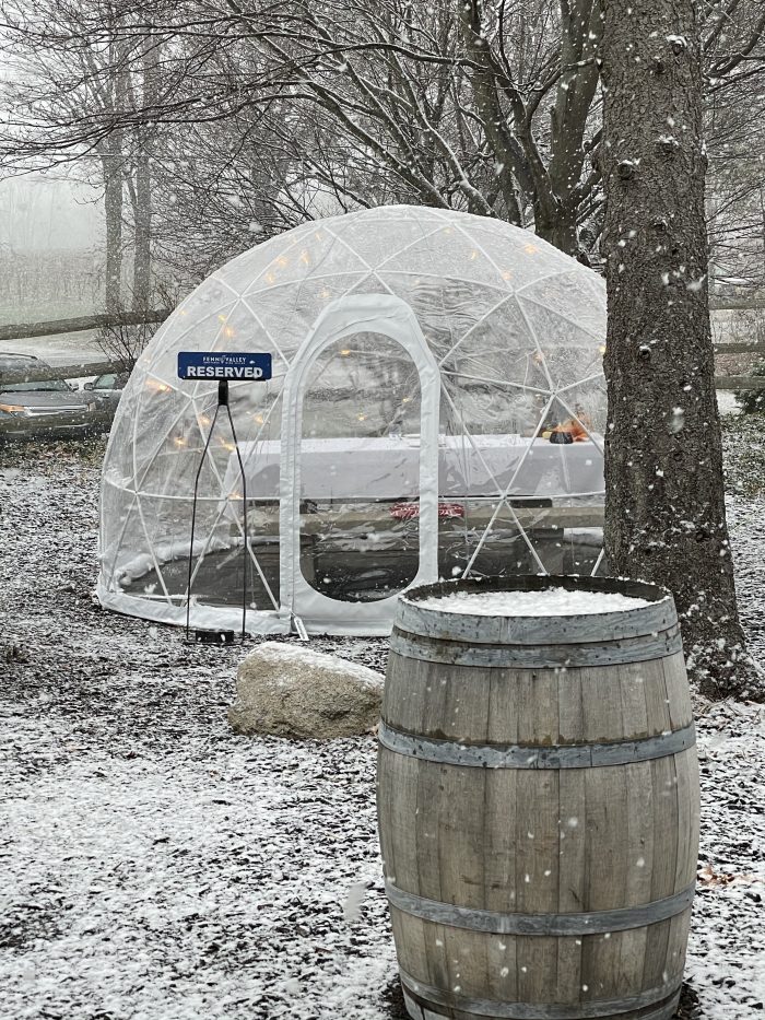 Private Vineyard Igloo - Image 4