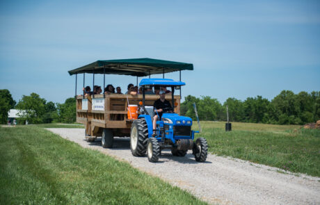Book a Tour of Fenn Valley Vineyard on the Grape Train, Extended Tour