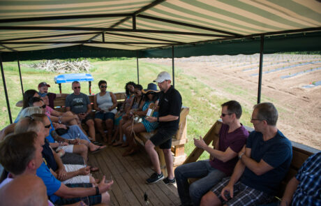 Book a Tour of Fenn Valley Vineyard on the Grape Train, Extended Tour